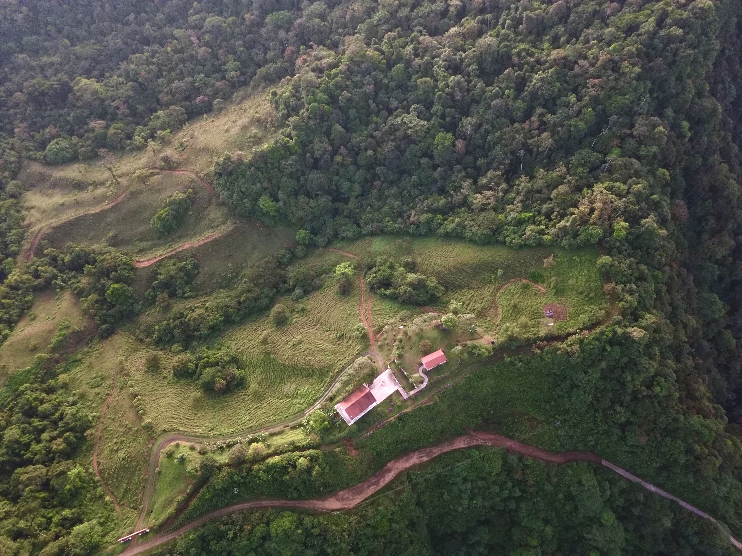 The estate grounds from directly above