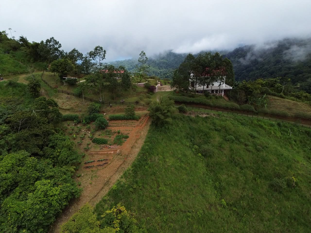 Aerial photograph of the cultivated mountainside with the residence above